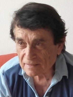 Swiss men looking for love
